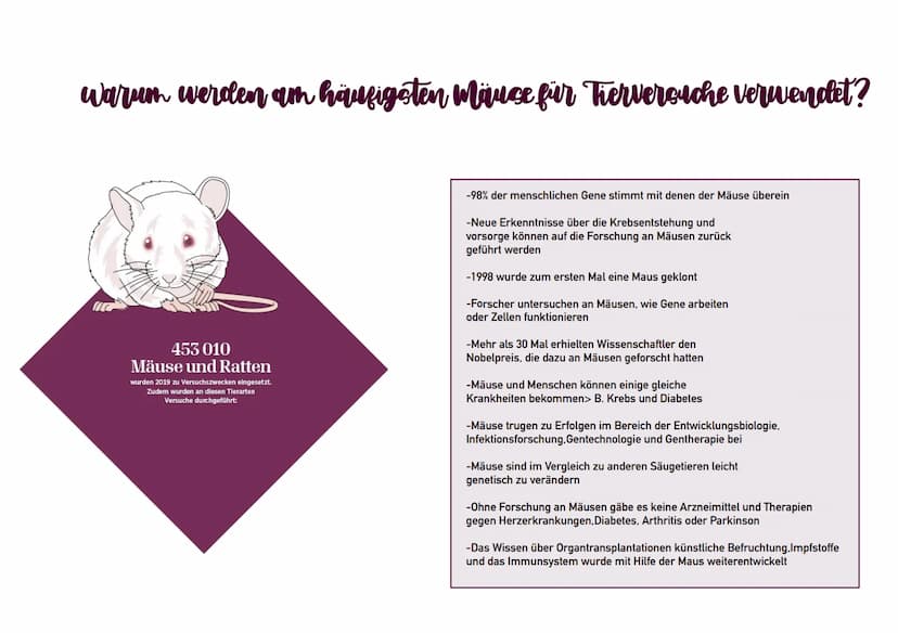Tierversuche
Referat von Lilly Ly Ann Eckstein
الباملا
ال... الا ..لا
IDH
+
>
VACCINE-A Ting Gliederung
-Definition
-Wofür werden Tierversuc