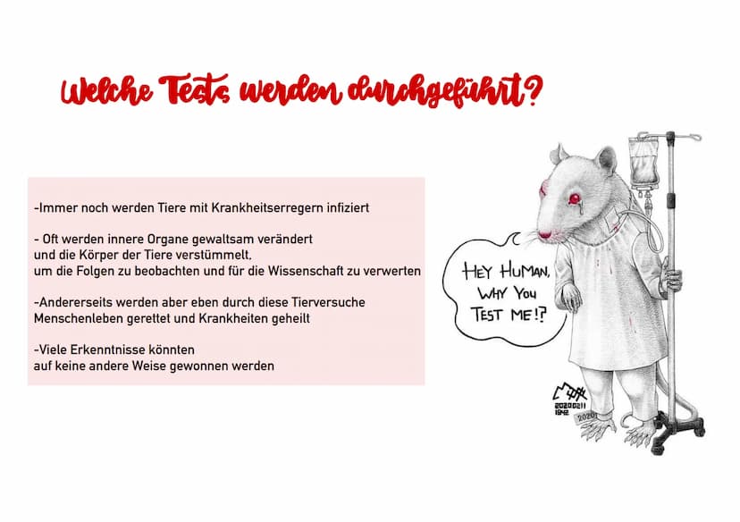 Tierversuche
Referat von Lilly Ly Ann Eckstein
الباملا
ال... الا ..لا
IDH
+
>
VACCINE-A Ting Gliederung
-Definition
-Wofür werden Tierversuc