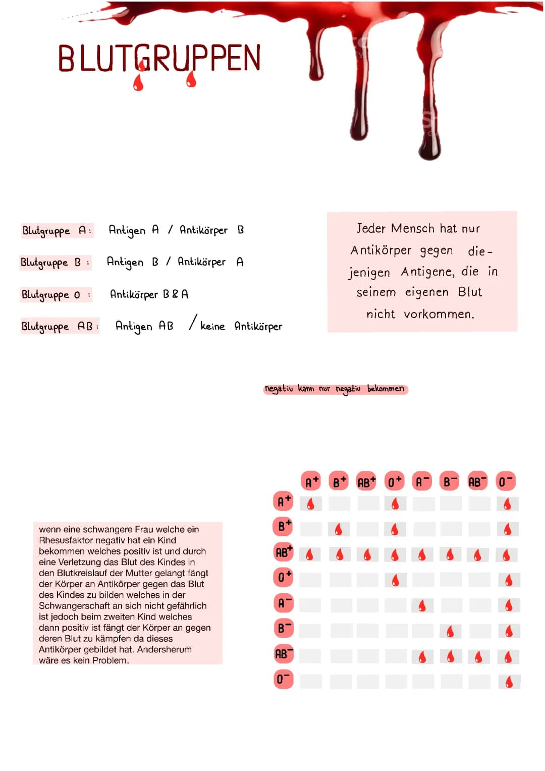 Blut 