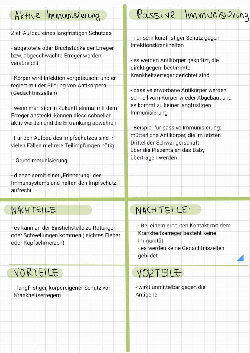 AKTIVE IMMUNISIERUNG
- auch genannt. Schutz impfung
Lebend imstoff/Totimstoff wird in
den Körper eingeführt (lebende oder
tote Erreger), dam