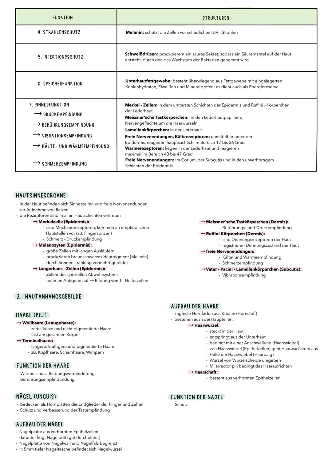 1. HAUT
- lat. Cutis, Derma
Häute sind flächenhafte Gewebsstruktueen, die aus einem
Deckenepithel und einer darunter liegenden Bindegewebssc