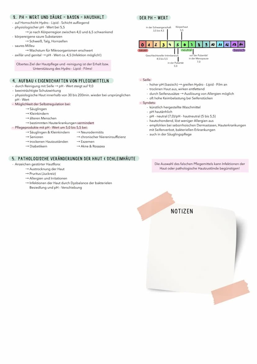 1. HAUT
- lat. Cutis, Derma
Häute sind flächenhafte Gewebsstruktueen, die aus einem
Deckenepithel und einer darunter liegenden Bindegewebssc