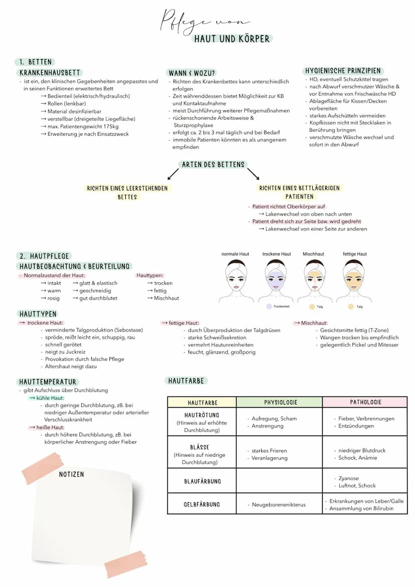 1. HAUT
- lat. Cutis, Derma
Häute sind flächenhafte Gewebsstruktueen, die aus einem
Deckenepithel und einer darunter liegenden Bindegewebssc