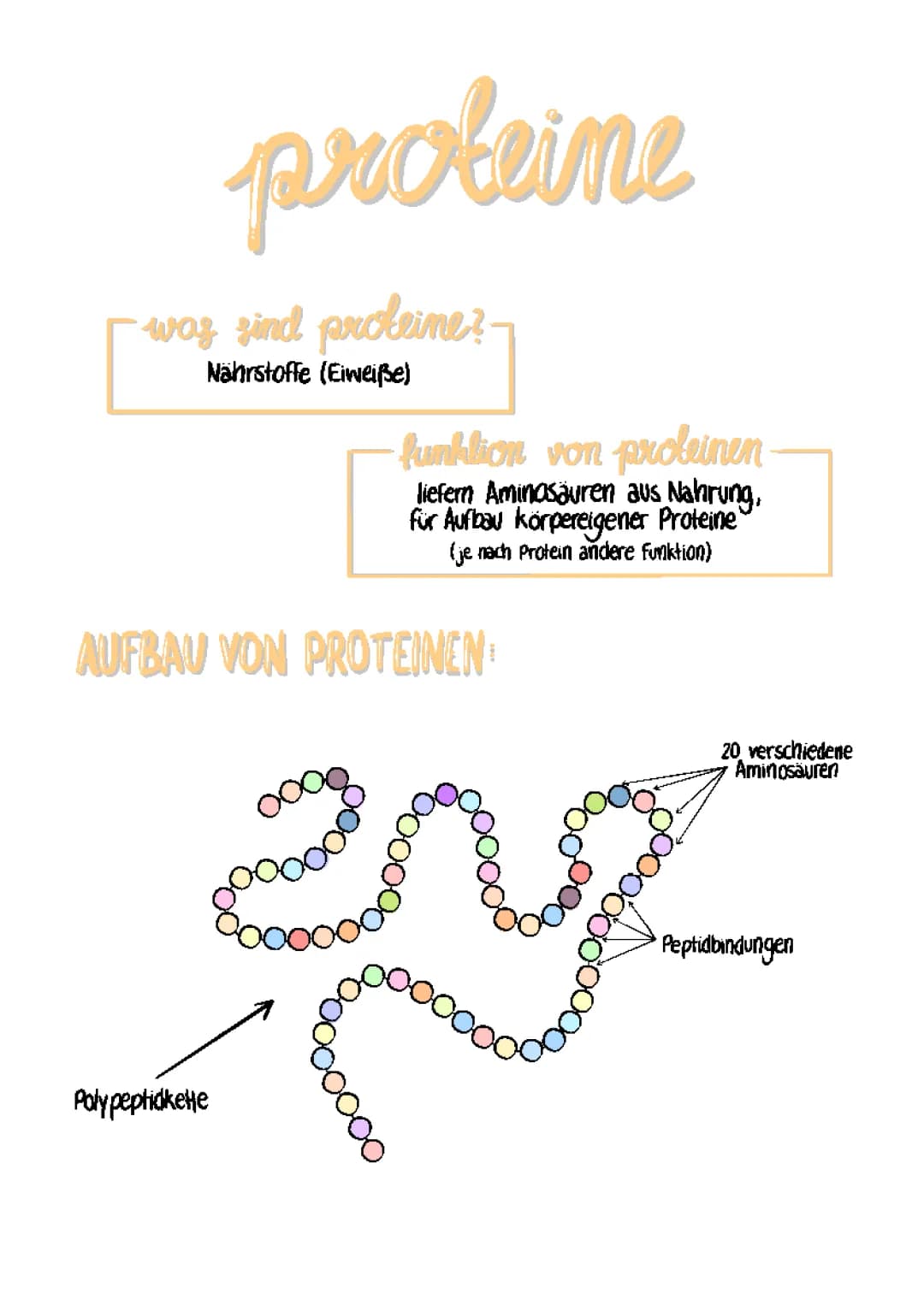 Proteine
