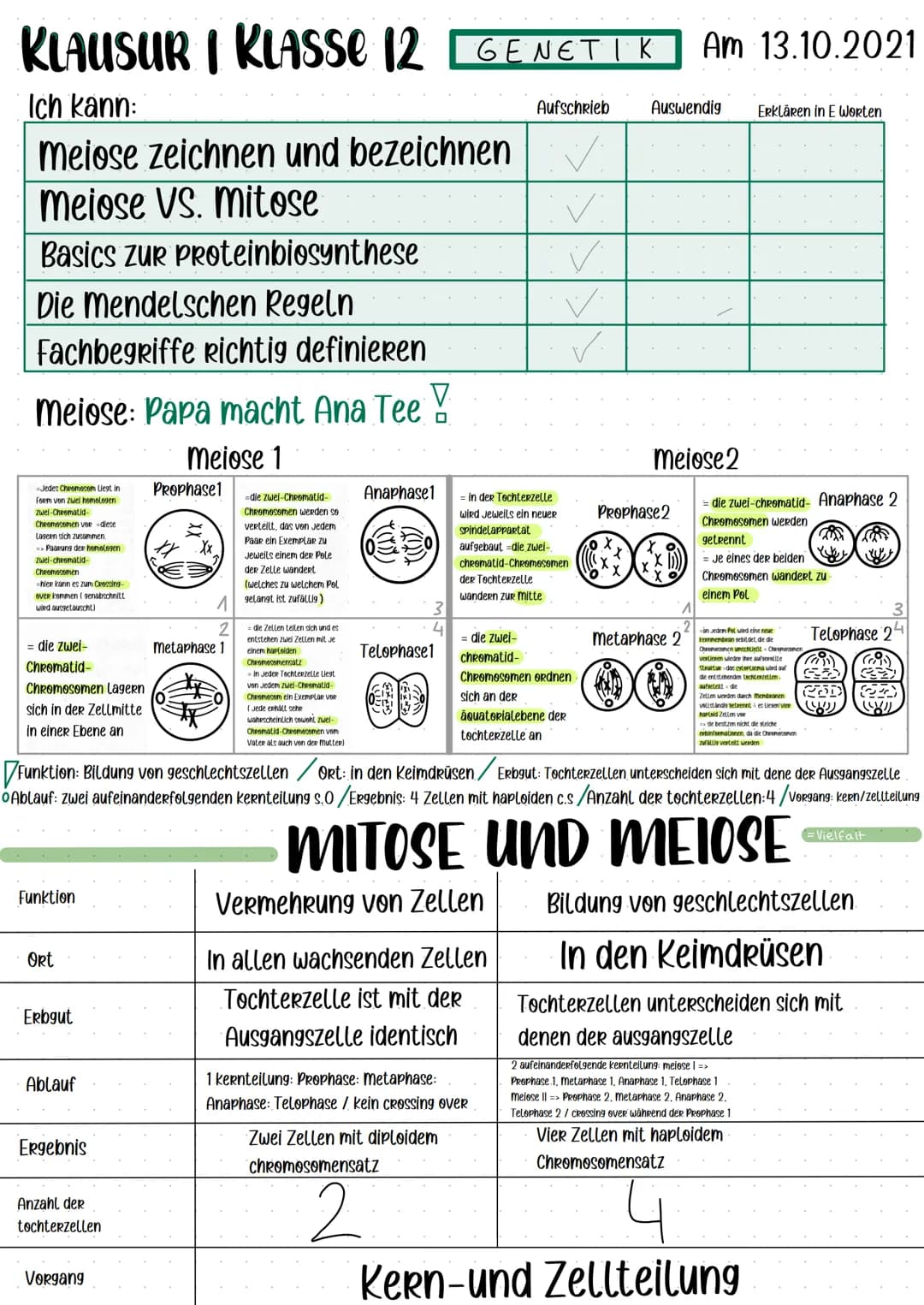 KLAUSURIKLASSe 12 GENETIK Am 13.10.2021
Ich kann:
meiose zeichnen und bezeichnen
Meiose VS. Mitose
Basics Zur Proteinbiosynthese
Die Mendels