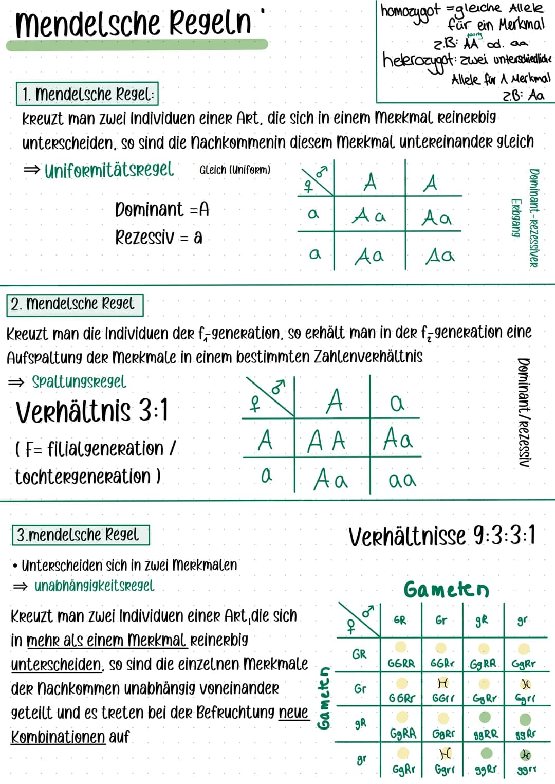 KLAUSURIKLASSe 12 GENETIK Am 13.10.2021
Ich kann:
meiose zeichnen und bezeichnen
Meiose VS. Mitose
Basics Zur Proteinbiosynthese
Die Mendels