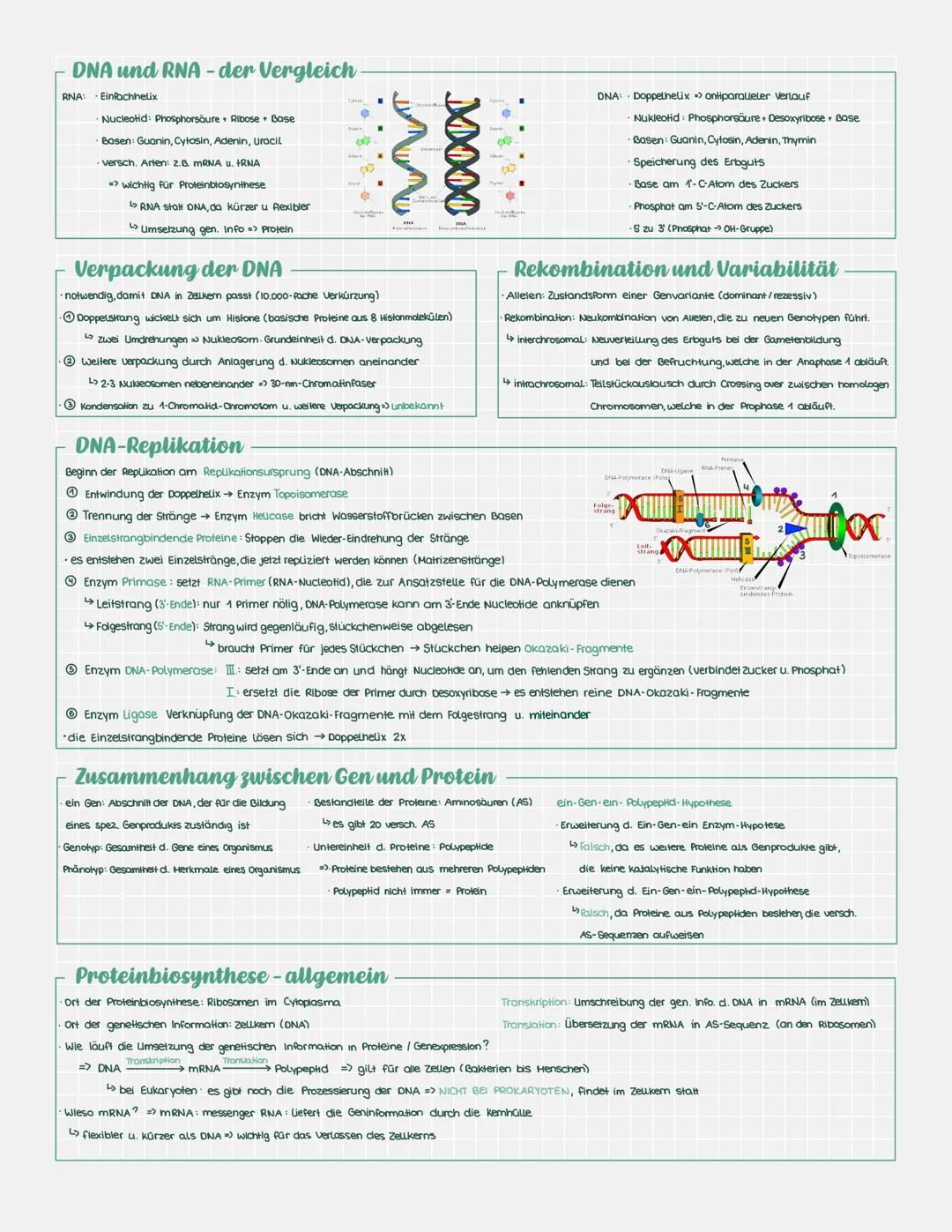 # DNA und RNA - der Vergleich

RNA: Einfachhelix

Nucleotid: Phosphorsäure Ribose Base

Basen: Guanin, Cytosin, Adenin, Uracil

versch. Arte