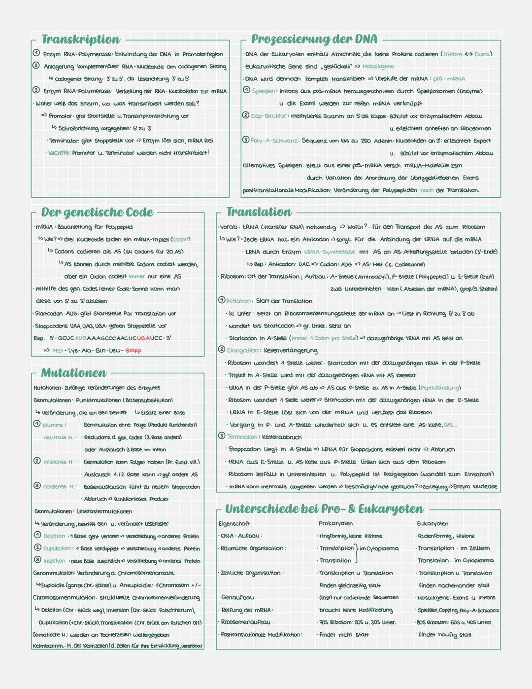# DNA und RNA - der Vergleich

RNA: Einfachhelix

Nucleotid: Phosphorsäure Ribose Base

Basen: Guanin, Cytosin, Adenin, Uracil

versch. Arte