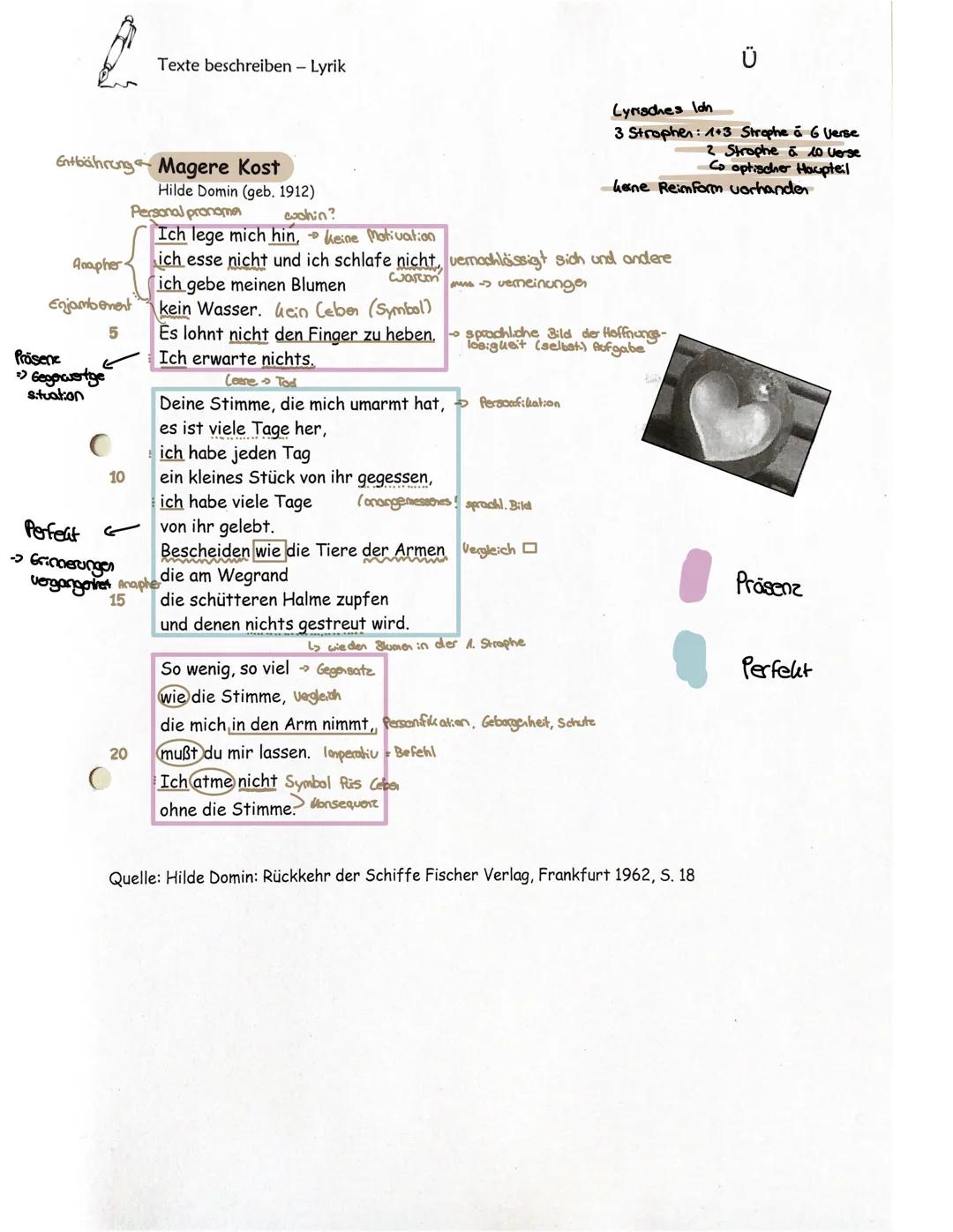 A
Entbährung Magere Kost
Präsene
:> Gegerwortge
situation
Anapher
Enjambement
5
10
Texte beschreiben - Lyrik
20
Hilde Domin (geb. 1912)
Pers