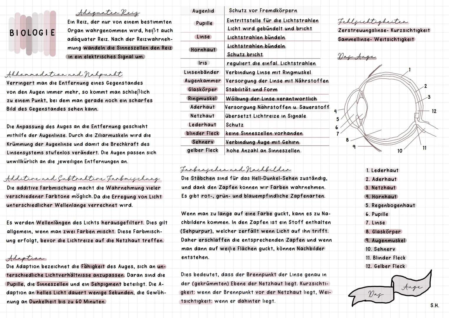 BIOLOGIE
Adäquater Reiz
Ein Reiz, der nur von einem bestimmten
Organ wahrgenommen wird, heißt auch
adäquater Reiz. Nach der Reizwahrneh-
mun