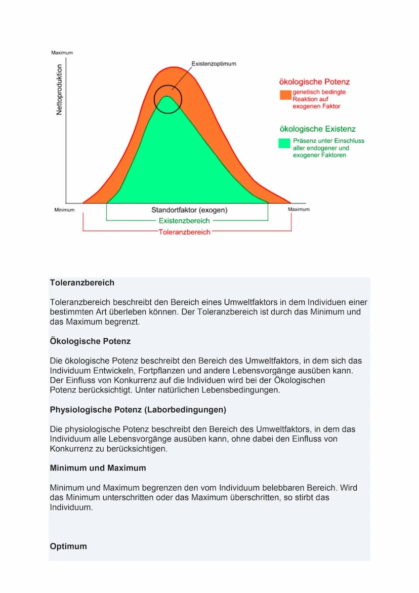 Ökologie
Ökologie: Teilbereich der Biologie, beschäftigt sich mit den Wechselwirkungen
zwischen belebter und unbelebter Umwelt und gegenseit