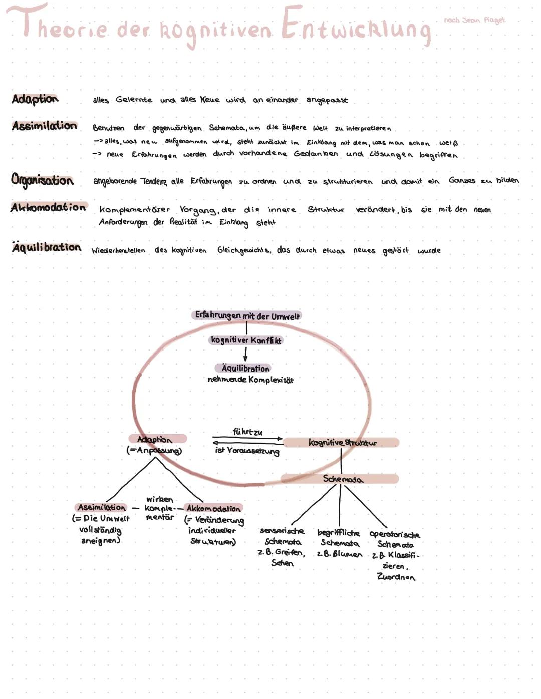# DAS MENSCHENBILD

-> erkennbar in seinem Phasenmodell

*   Progression im Aufbau kognitiver Strukturen

*   lebenslang

*   epigenetischer