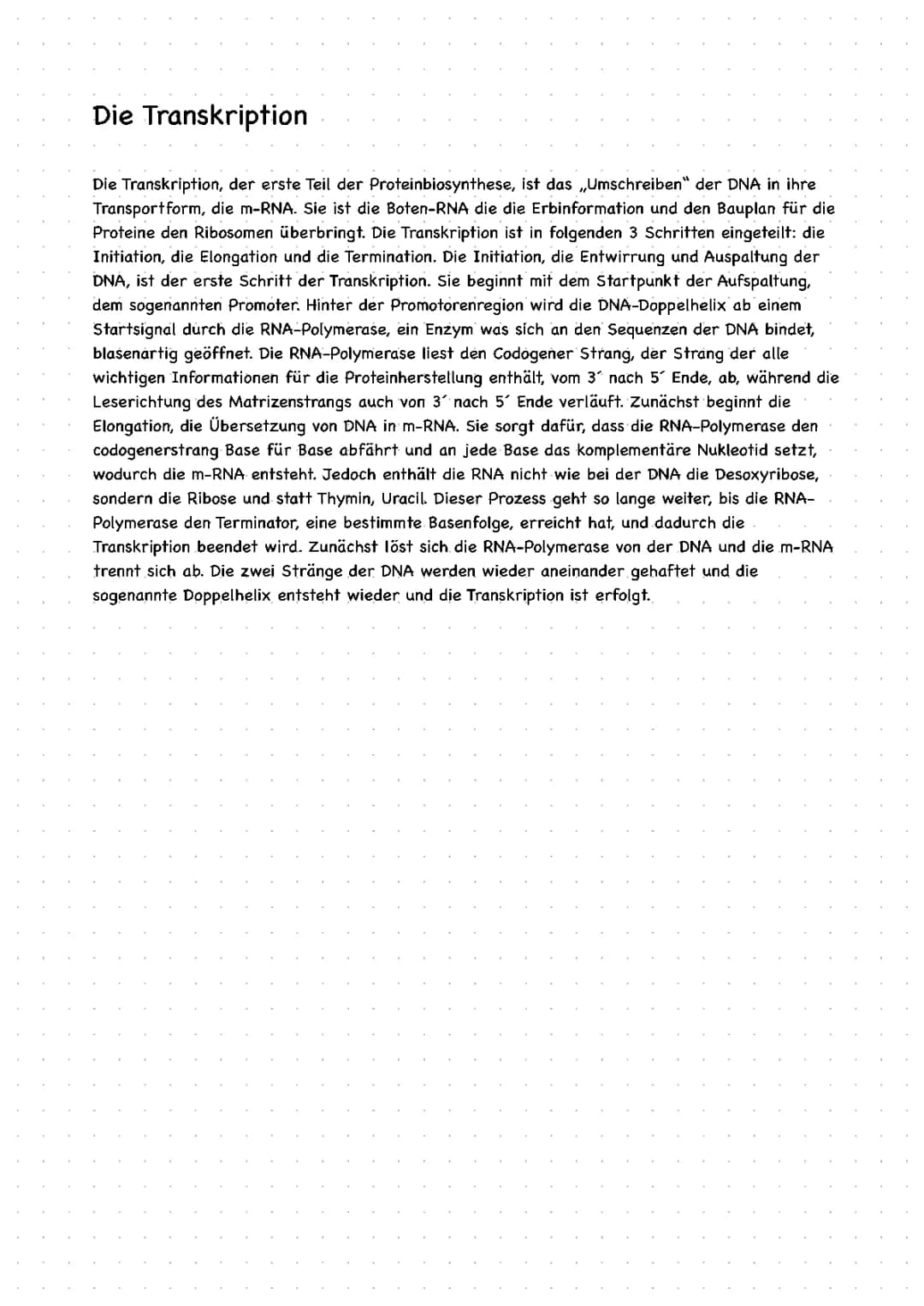 Zusammenfassung (Text) zur Transkription