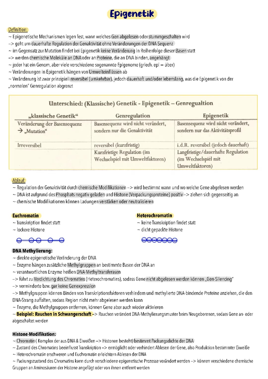 Epigenetik