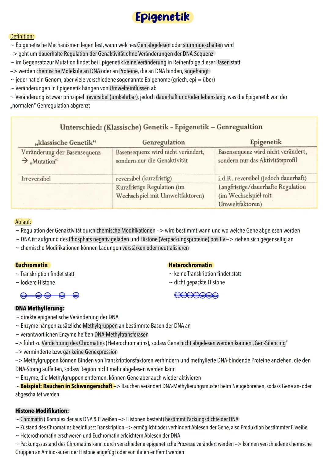 Definition:
- Epigenetische Mechanismen legen fest, wann welches Gen abgelesen oder stummgeschalten wird
-> geht um dauerhafte Regulation de
