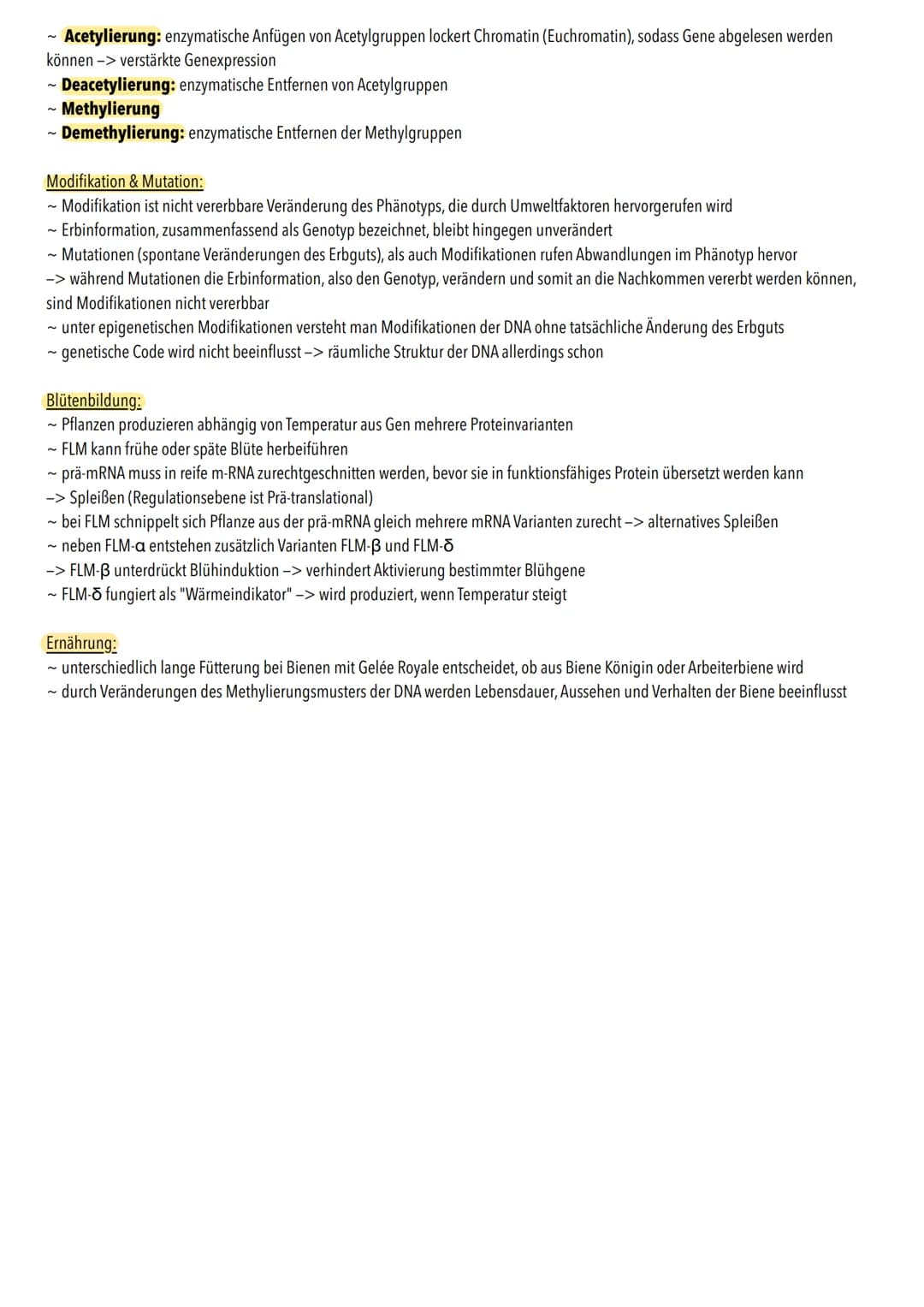 Definition:
- Epigenetische Mechanismen legen fest, wann welches Gen abgelesen oder stummgeschalten wird
-> geht um dauerhafte Regulation de
