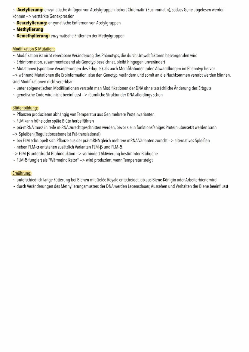 Definition:
- Epigenetische Mechanismen legen fest, wann welches Gen abgelesen oder stummgeschalten wird
-> geht um dauerhafte Regulation de