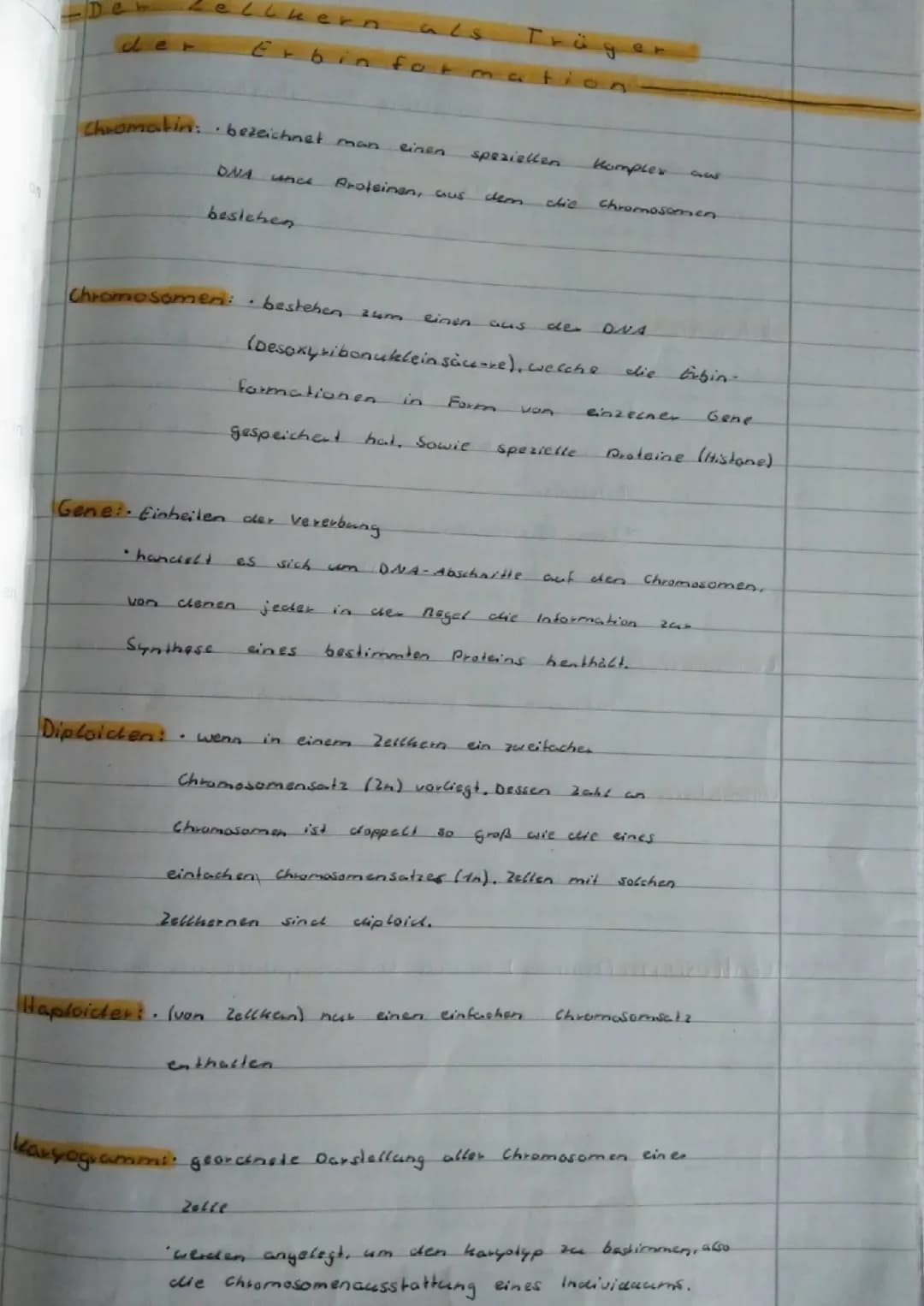 Chromatin, Chromosomen, Gene,Diploid, Haploid, Karyogramm, homologe Chromosome, Autosomen, Gonosomen, Chromatiden, Centrosm, 