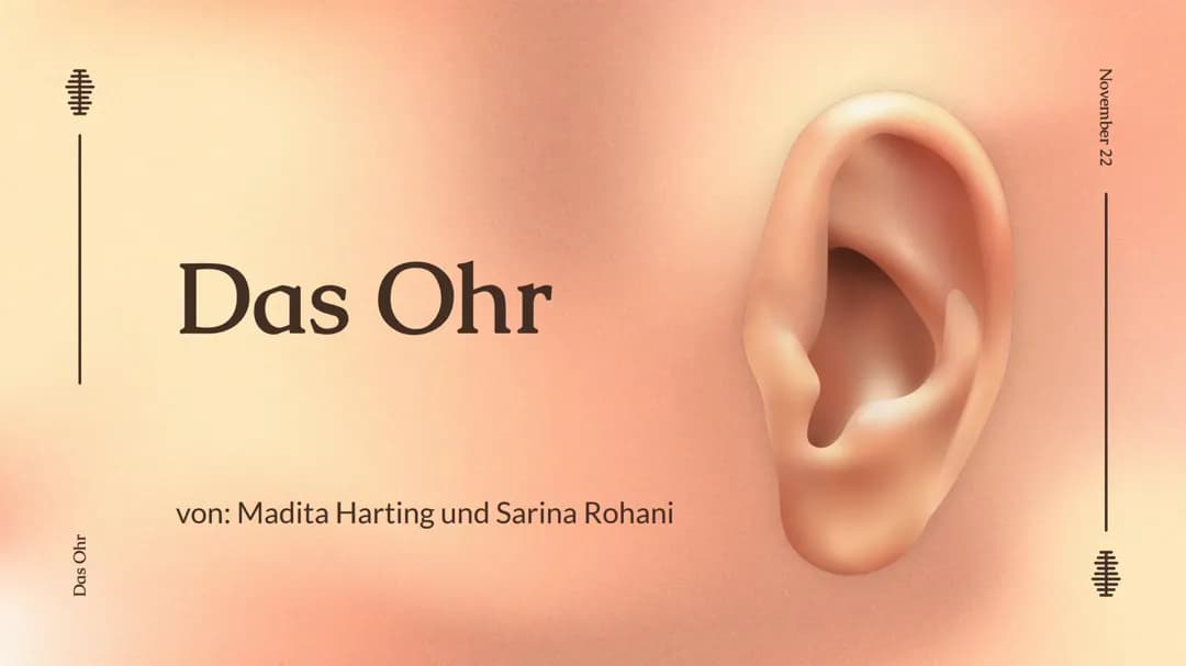 Präsentation über das Ohr