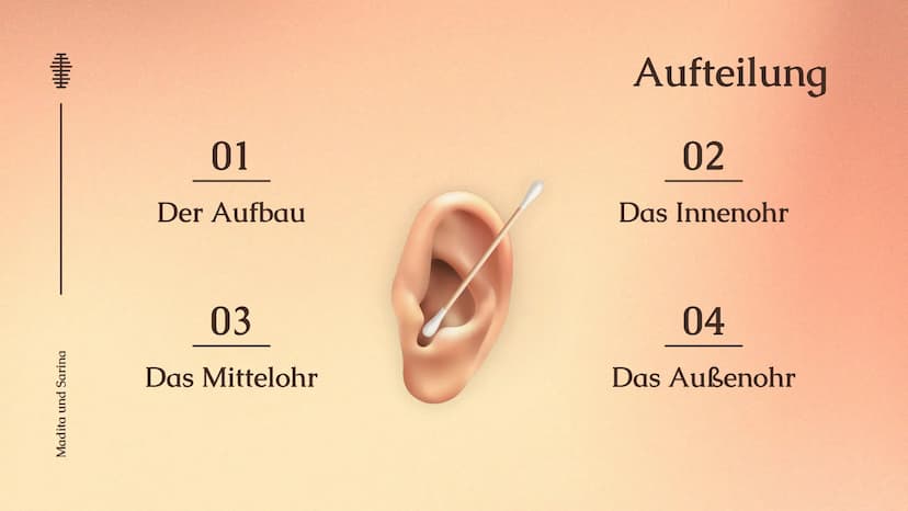 Das Ohr
Das Ohr
von: Madita Harting und Sarina Rohani
November 22 Inhaltsverzeichnis
LE36789
1.
2.
3.
4.
5.
6.
7.
8.
9.
Das Ohr Aufbau
Das A