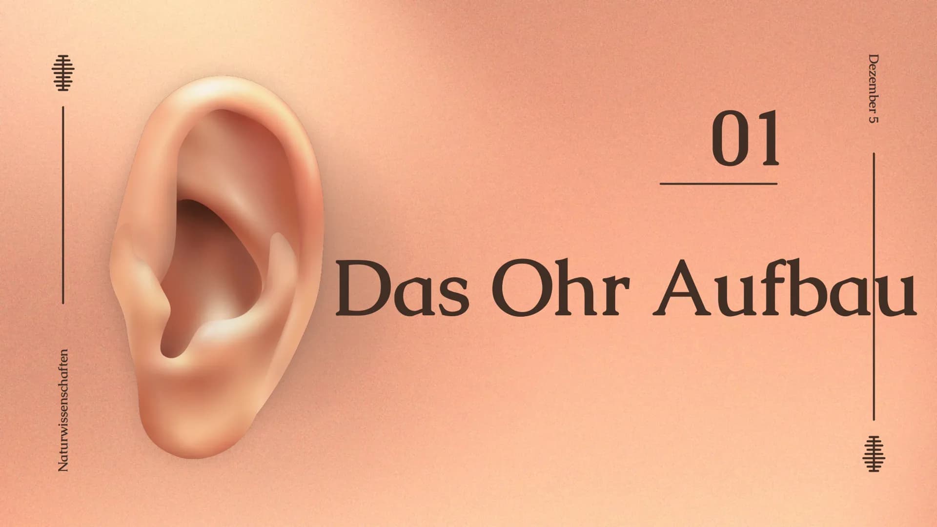 Das Ohr
Das Ohr
von: Madita Harting und Sarina Rohani
November 22 Inhaltsverzeichnis
LE36789
1.
2.
3.
4.
5.
6.
7.
8.
9.
Das Ohr Aufbau
Das A