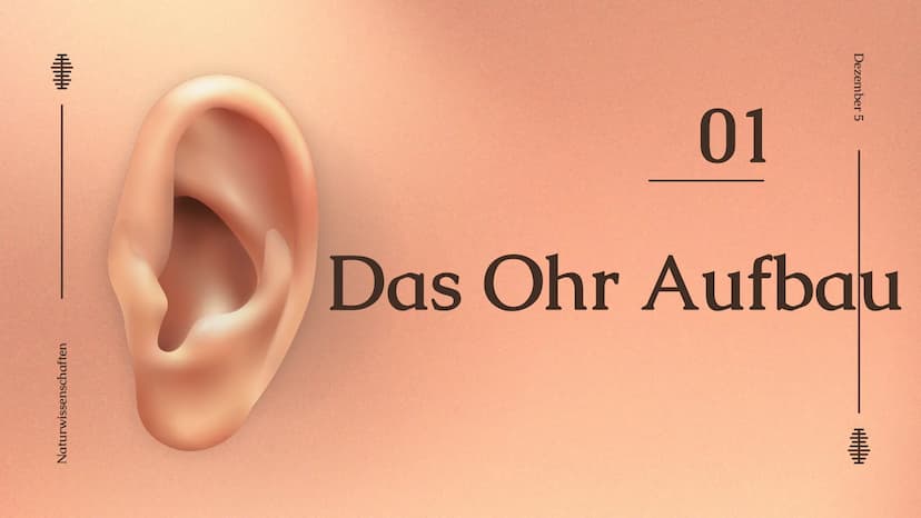Das Ohr
Das Ohr
von: Madita Harting und Sarina Rohani
November 22 Inhaltsverzeichnis
LE36789
1.
2.
3.
4.
5.
6.
7.
8.
9.
Das Ohr Aufbau
Das A