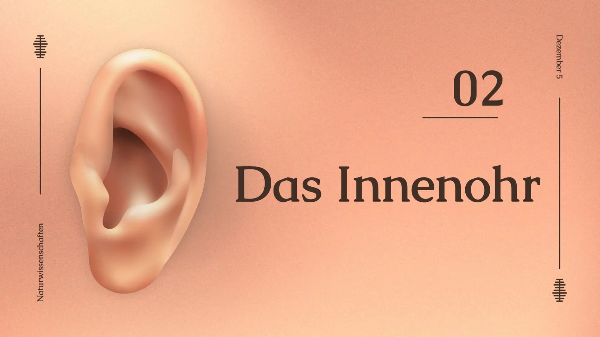 Das Ohr
Das Ohr
von: Madita Harting und Sarina Rohani
November 22 Inhaltsverzeichnis
LE36789
1.
2.
3.
4.
5.
6.
7.
8.
9.
Das Ohr Aufbau
Das A
