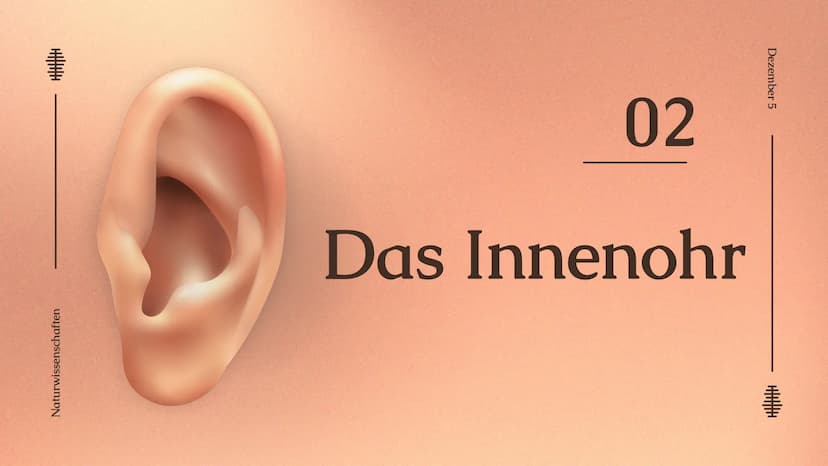 Das Ohr
Das Ohr
von: Madita Harting und Sarina Rohani
November 22 Inhaltsverzeichnis
LE36789
1.
2.
3.
4.
5.
6.
7.
8.
9.
Das Ohr Aufbau
Das A