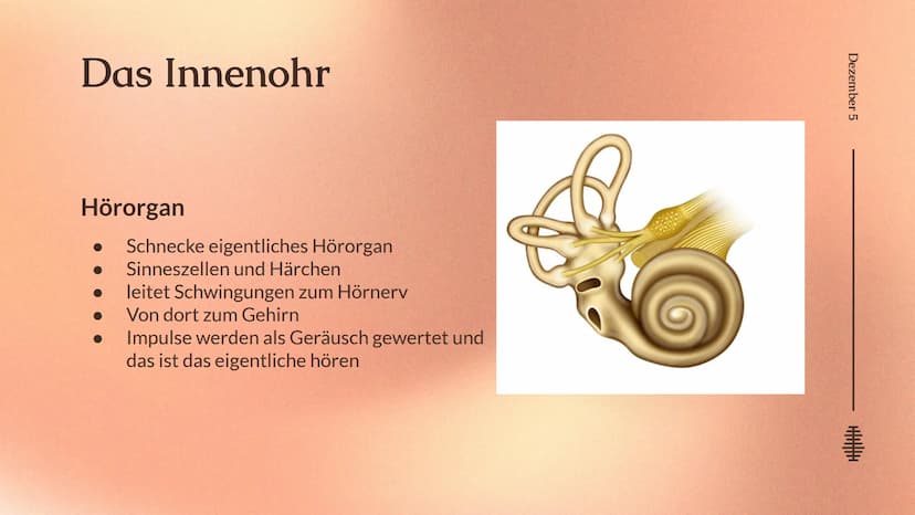 Das Ohr
Das Ohr
von: Madita Harting und Sarina Rohani
November 22 Inhaltsverzeichnis
LE36789
1.
2.
3.
4.
5.
6.
7.
8.
9.
Das Ohr Aufbau
Das A