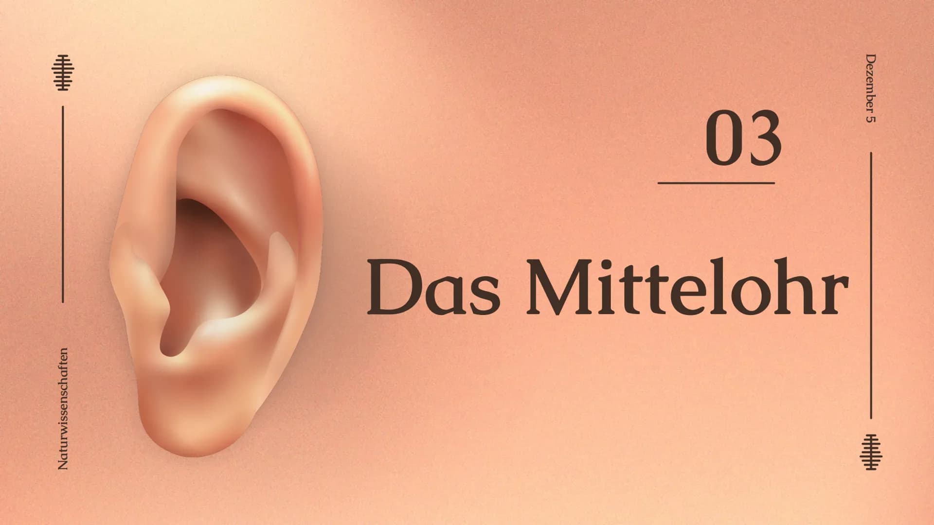 Das Ohr
Das Ohr
von: Madita Harting und Sarina Rohani
November 22 Inhaltsverzeichnis
LE36789
1.
2.
3.
4.
5.
6.
7.
8.
9.
Das Ohr Aufbau
Das A