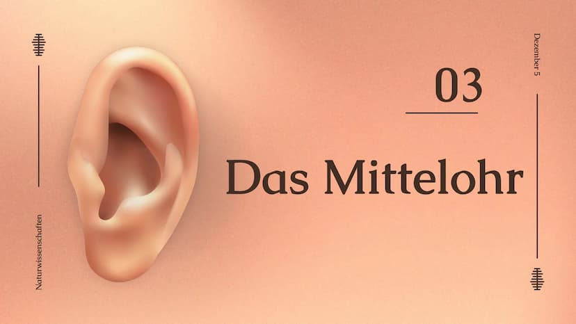 Das Ohr
Das Ohr
von: Madita Harting und Sarina Rohani
November 22 Inhaltsverzeichnis
LE36789
1.
2.
3.
4.
5.
6.
7.
8.
9.
Das Ohr Aufbau
Das A
