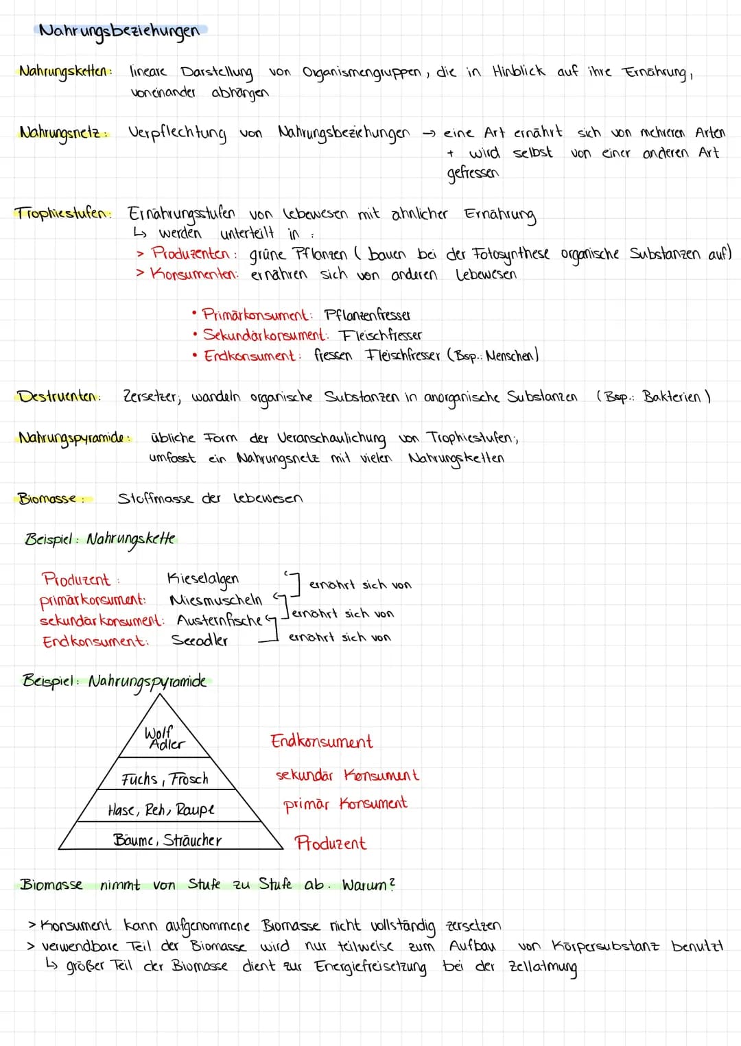 Nahrungsbeziehungen
Nahrungsketten: lineare Darstellung von Organismengruppen, die in Hinblick auf ihre Ernährung,
voneinander abhängen
Nahr