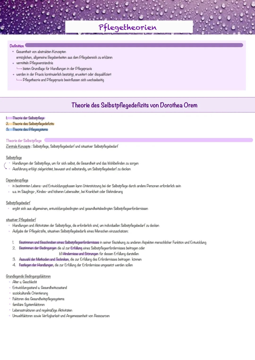 Pflegetheorien