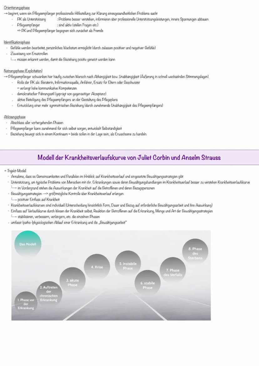Definition
• Gesamtheit von abstrakten Konzepten
ermöglichen, allgemeine Begebenheiten aus dem Pflegebereich zu erklären
• vermitteln Pflege