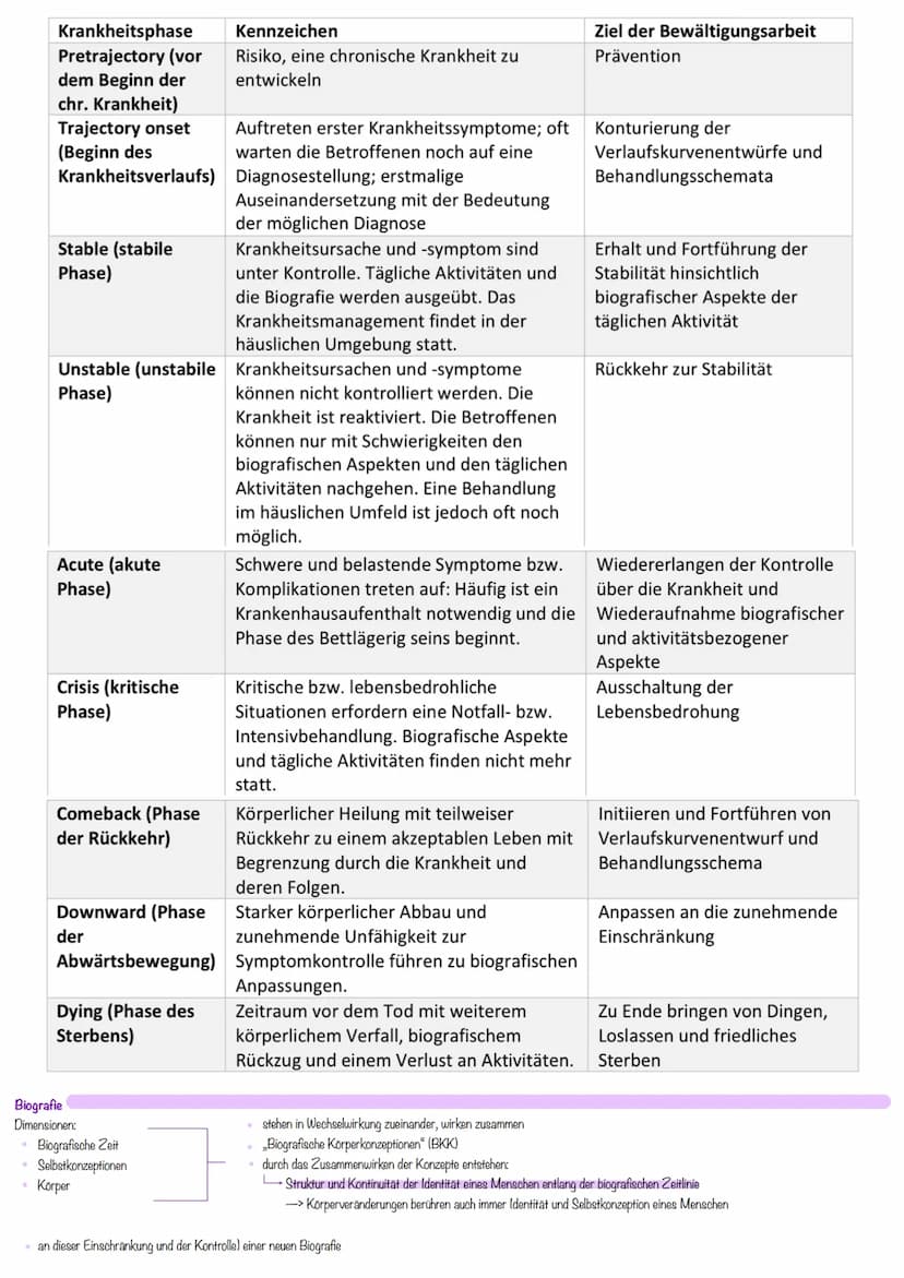 Definition
• Gesamtheit von abstrakten Konzepten
ermöglichen, allgemeine Begebenheiten aus dem Pflegebereich zu erklären
• vermitteln Pflege