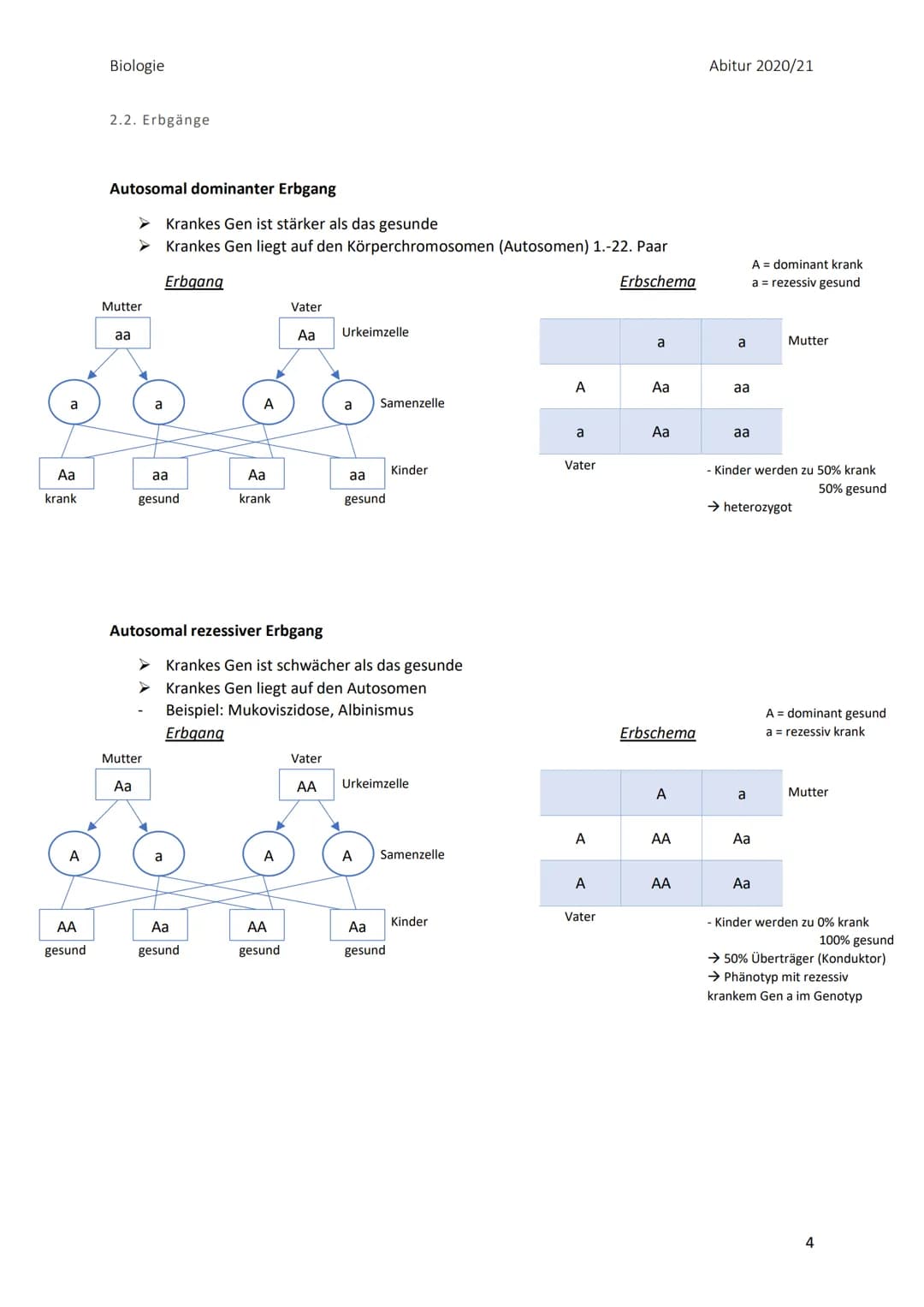 Biologie
Zusammenfassung der Themengebiete zu Biologie
LPE 3, 4, 5 und 6
LPE 3: Genetik
Inhalt
1. Sexuelle Fortpflanzung
1.1. Keimzellbildun