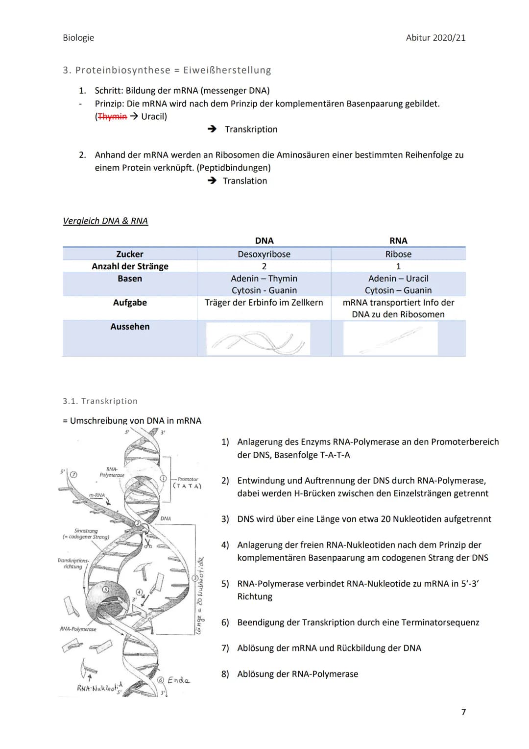 Biologie
Zusammenfassung der Themengebiete zu Biologie
LPE 3, 4, 5 und 6
LPE 3: Genetik
Inhalt
1. Sexuelle Fortpflanzung
1.1. Keimzellbildun