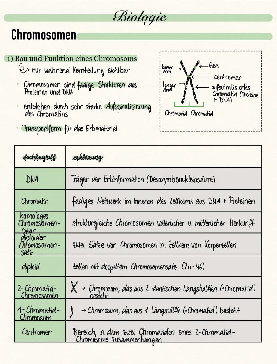 Chromosomen + klassische Genetik 