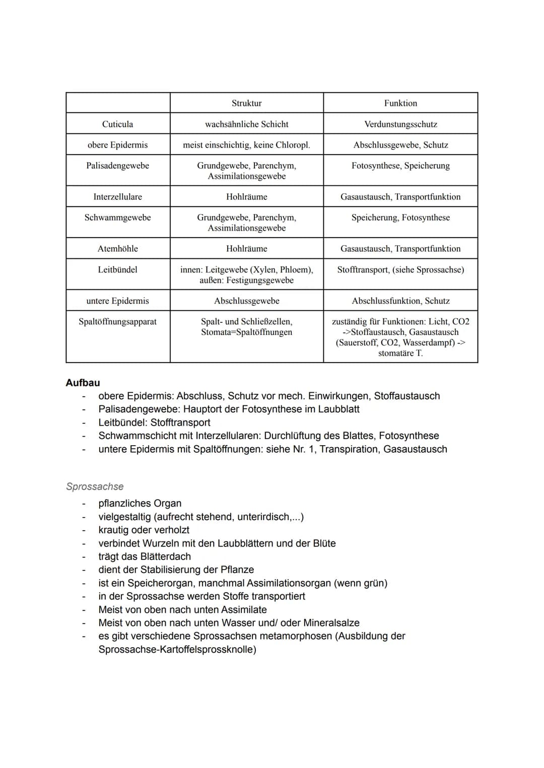Pflanzliche Organe, Gewebe und differenzierte Zellen
Allgemein
Laubblatt
Kelch
Stängel-
Blatt-
Staub
blatt
TA
0000
00
Griffel Narbe
Blüten
b