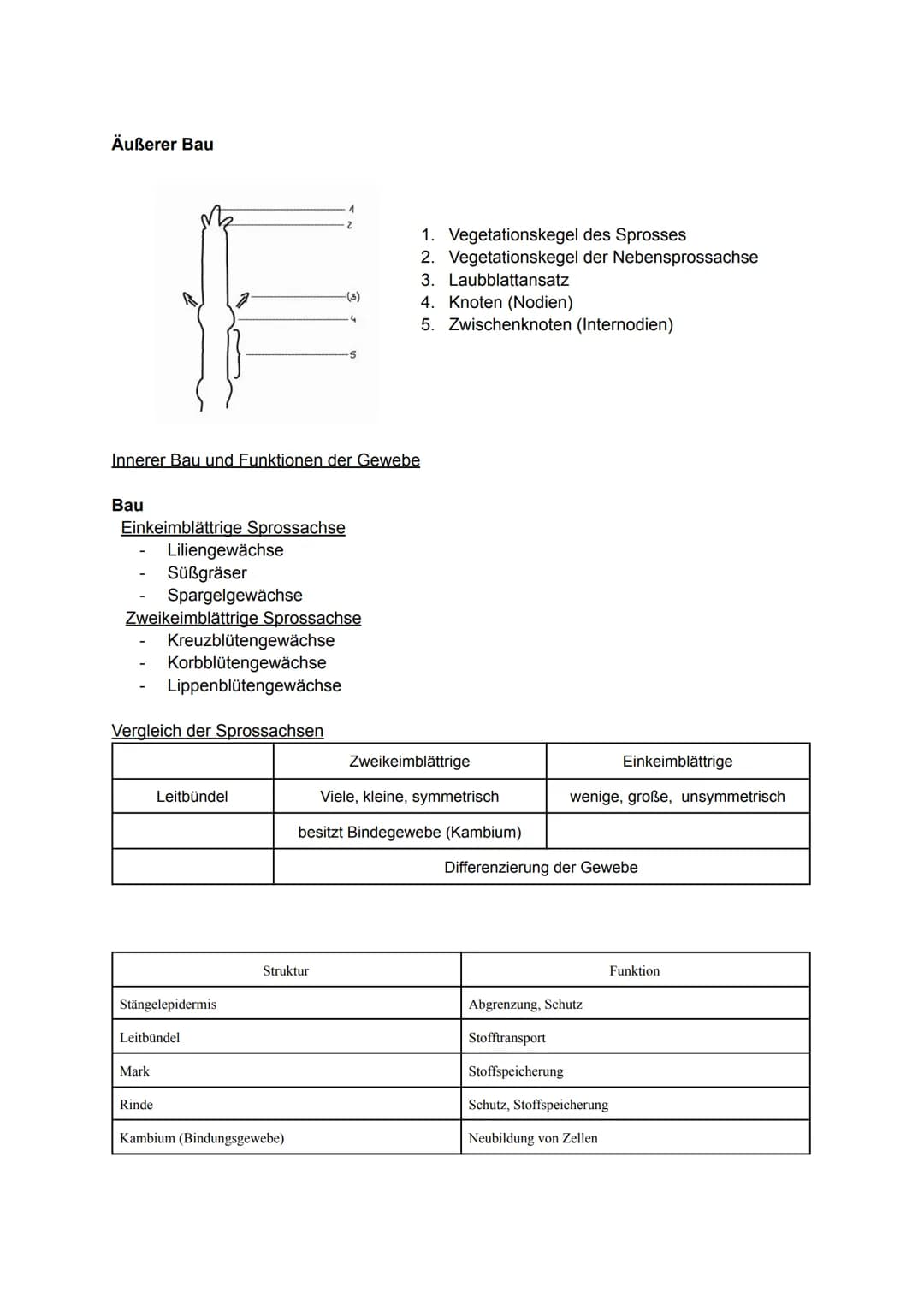 Pflanzliche Organe, Gewebe und differenzierte Zellen
Allgemein
Laubblatt
Kelch
Stängel-
Blatt-
Staub
blatt
TA
0000
00
Griffel Narbe
Blüten
b