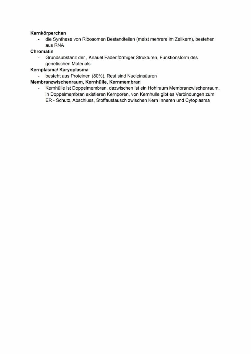 Pflanzliche Organe, Gewebe und differenzierte Zellen
Allgemein
Laubblatt
Kelch
Stängel-
Blatt-
Staub
blatt
TA
0000
00
Griffel Narbe
Blüten
b