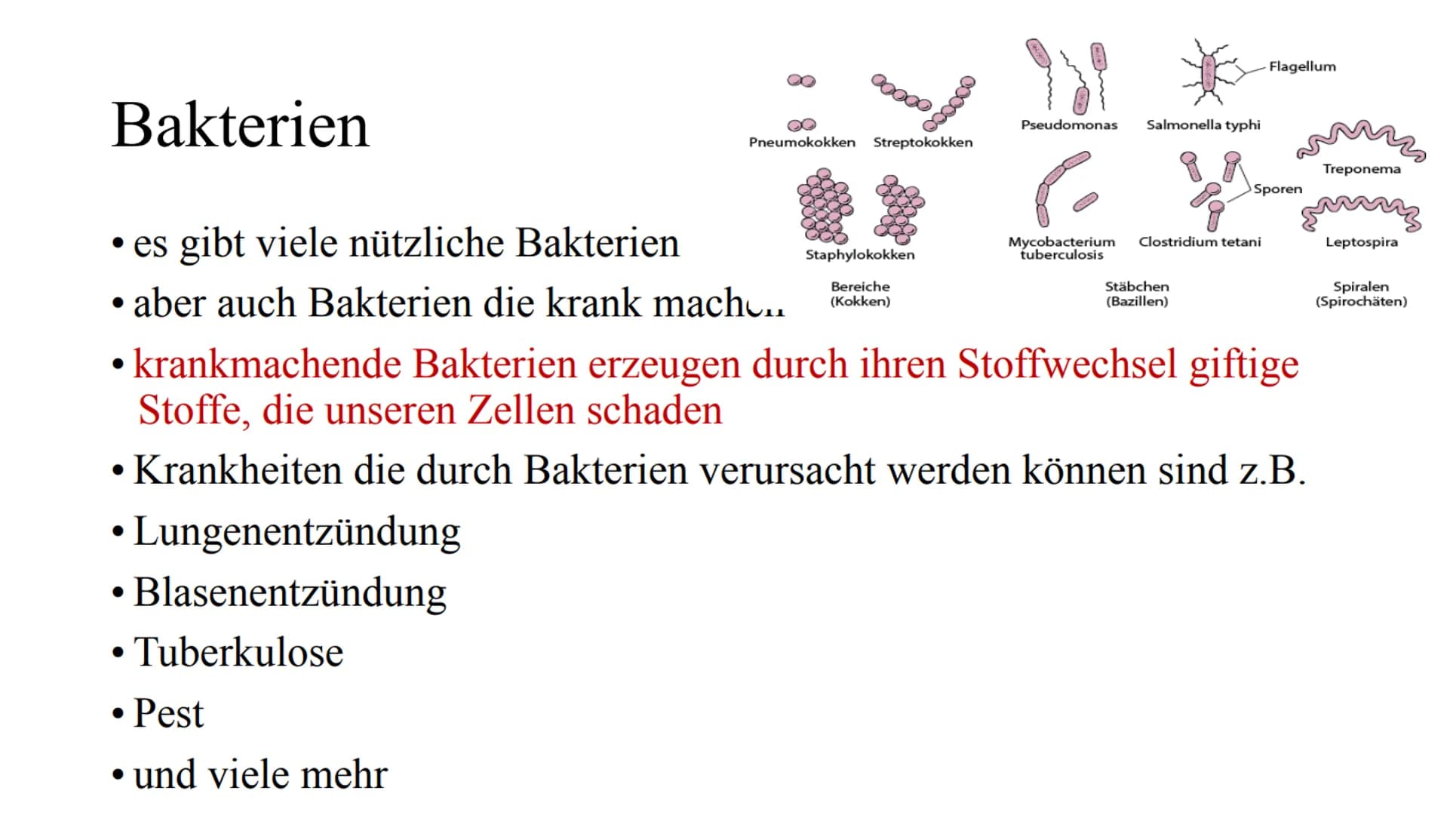 Das Immunsystem Das
Immunsystem
ist das körpereigene, individuelle Abwehrsystem gegen schädlichen
Krankheitserreger
Der Begriff des 'Immunsy