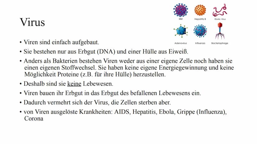 Das Immunsystem Das
Immunsystem
ist das körpereigene, individuelle Abwehrsystem gegen schädlichen
Krankheitserreger
Der Begriff des 'Immunsy