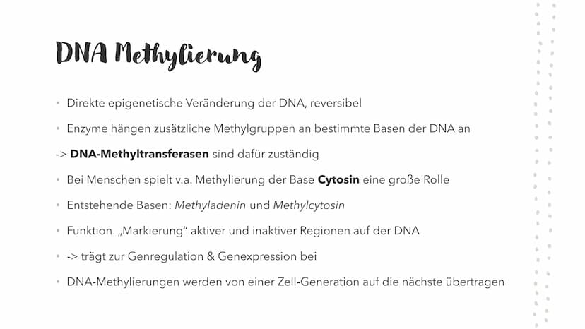 Epigenetik
HABEN GENE EIN GEDÄCHTNIS? Mehr als die
Summe
seiner Gene
●
●
●
Epigenetik = Genetik+Epigenese
Regulationsebene der Gene oberhalb