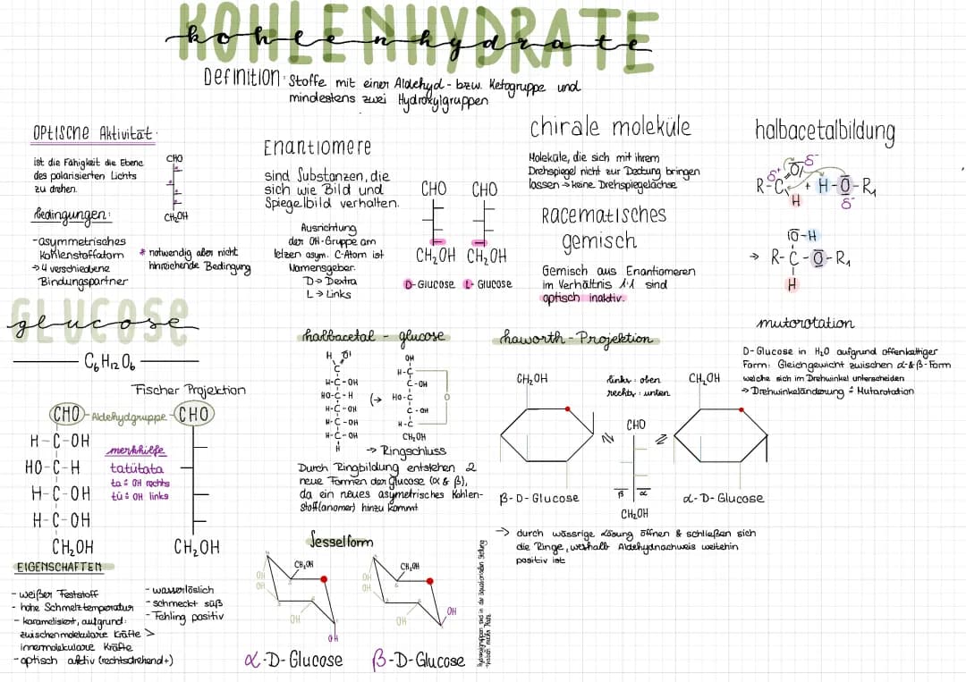 Kohlenhydrate 