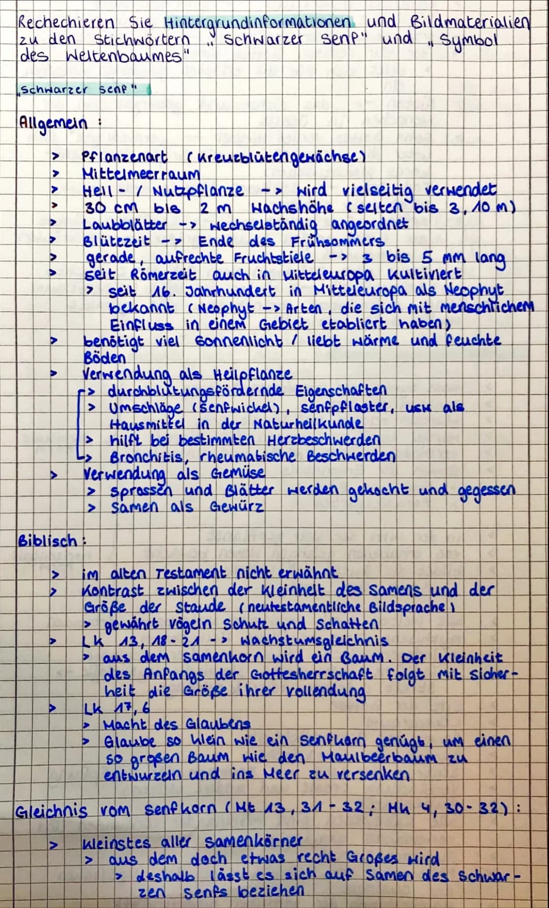 Rechechieren Sie Hintergrundinformationen und Bildmaterialien
zu den Stichwörtern
Schwarzer Senp" und
Symbol
des Weltenbaumes"
Schwarzer sen