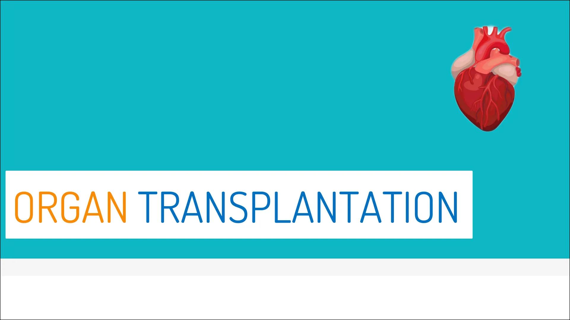 ORGAN TRANSPLANTATION 2
Gliederung
▸ Organtransplantation
Arten der Organtransplantation
Ablauf und Folgen
Immunreaktion
Organspende
Vorraus