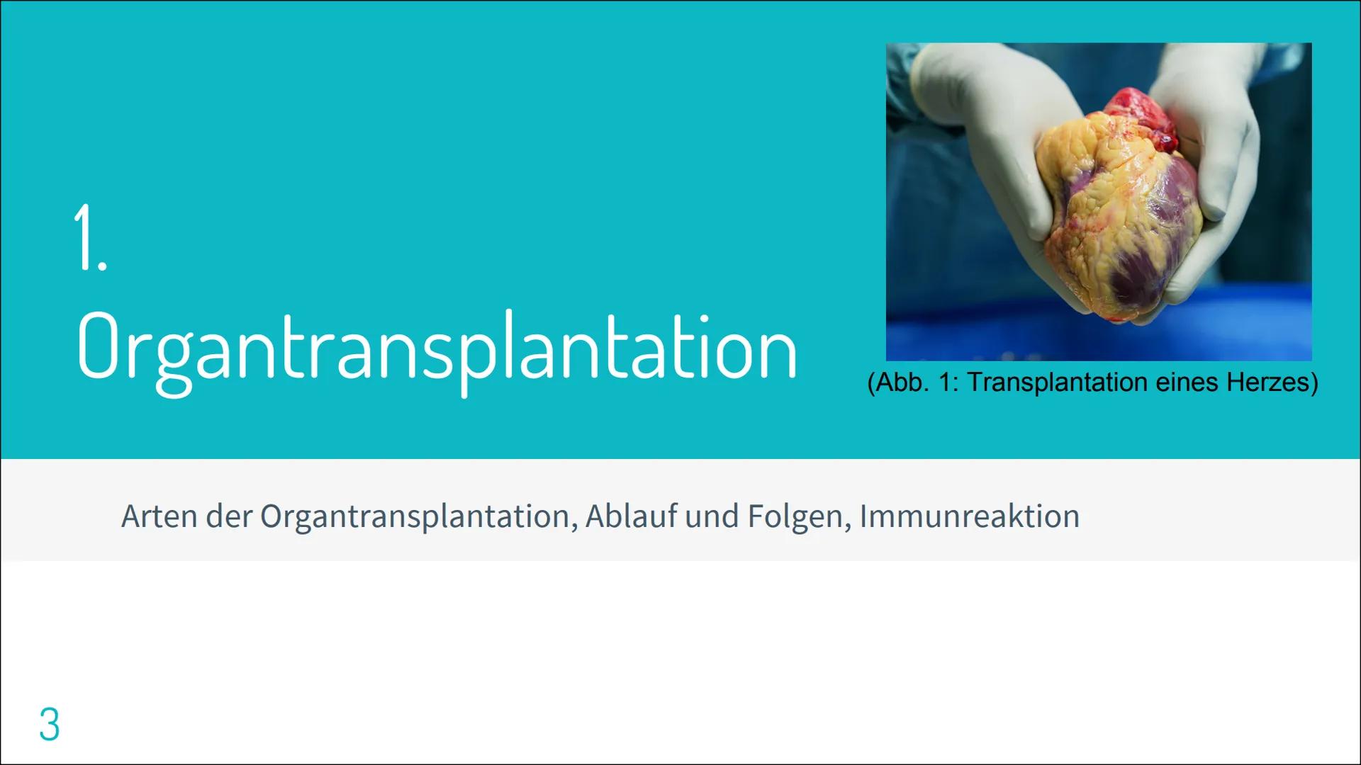 ORGAN TRANSPLANTATION 2
Gliederung
▸ Organtransplantation
Arten der Organtransplantation
Ablauf und Folgen
Immunreaktion
Organspende
Vorraus