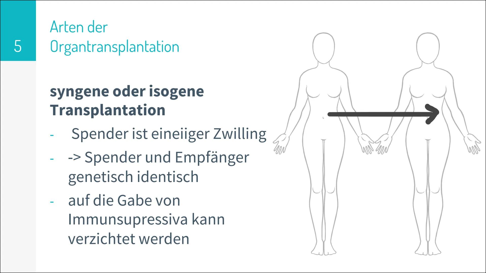 ORGAN TRANSPLANTATION 2
Gliederung
▸ Organtransplantation
Arten der Organtransplantation
Ablauf und Folgen
Immunreaktion
Organspende
Vorraus