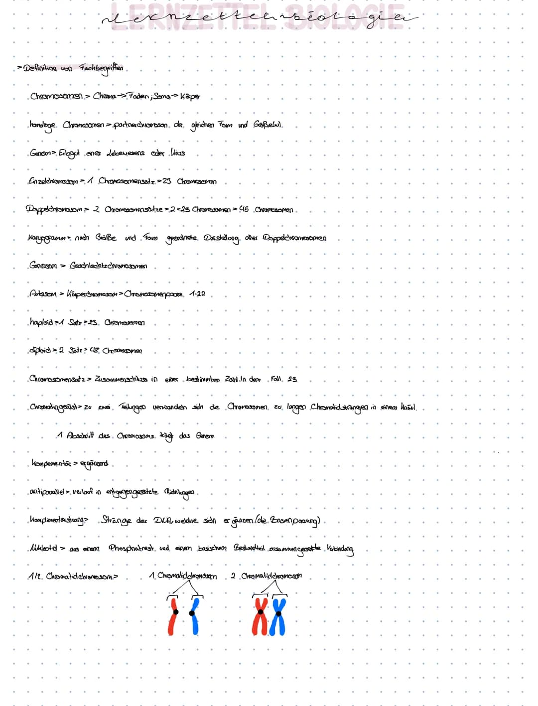-Definition von
Fachbegriffen.
dexnzettehrbiologia
. Chromosomen > Chrzana - Faden; Soma-> Körper
handoge. Chromosomen > partnerchionoson de